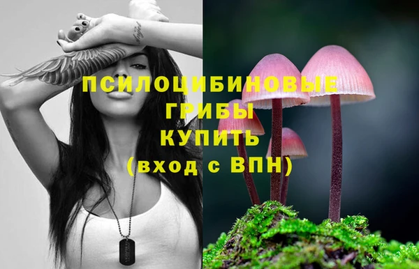 спайс Алексеевка
