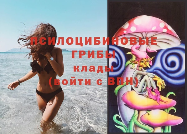 прущая мука Алзамай